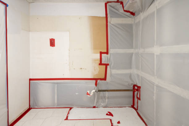 Best Mold Odor Removal Services  in Diberville, MS