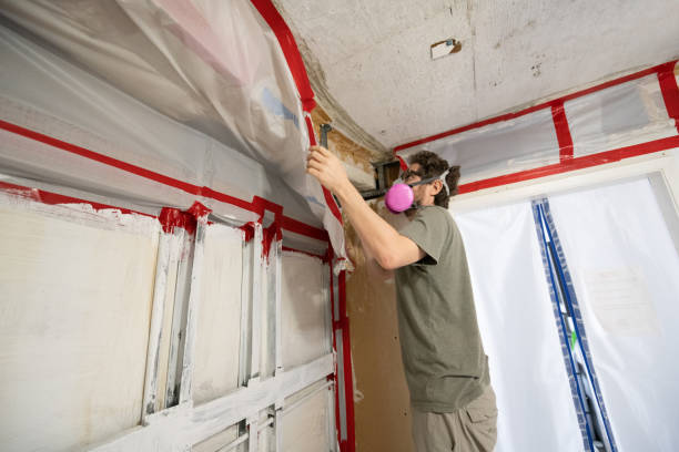 Environmental Consulting for Mold Prevention in Diberville, MS